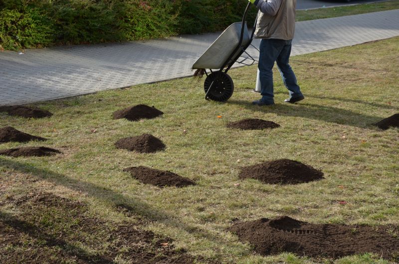 Lawn Grading
