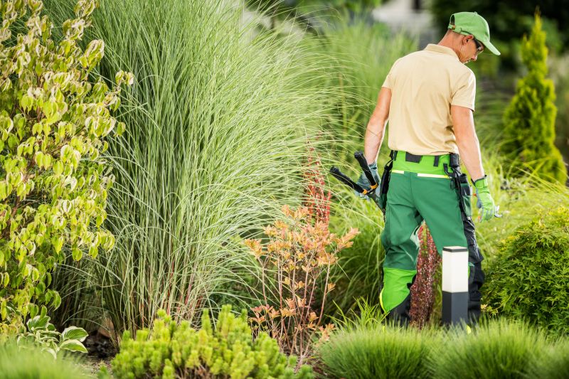 Experienced Landscapers